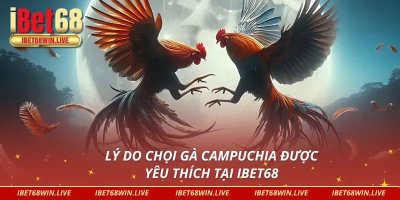 Lý do đá gà Campuchia được hội viên ưa chuộng