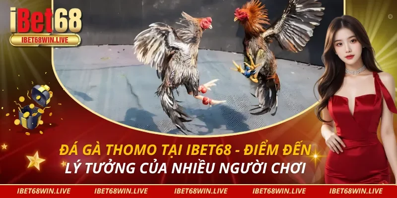 Đá Gà Thomo